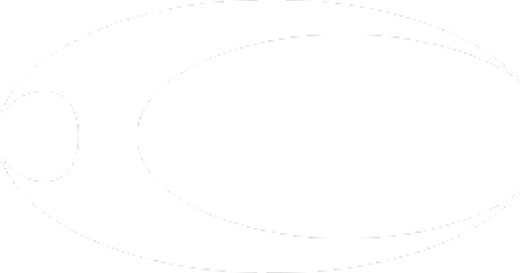 COZY WORLDWIDE logo